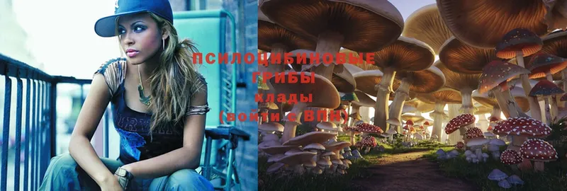 Псилоцибиновые грибы Magic Shrooms  Красногорск 